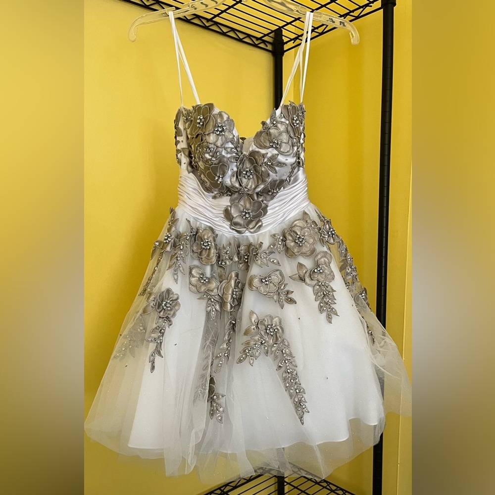 Terani Dress